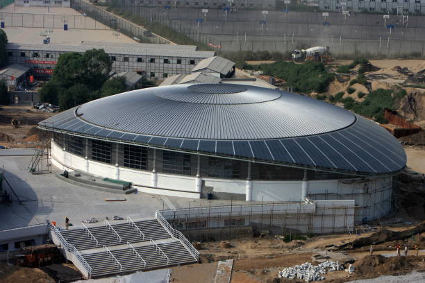 张楠现状：从奥运冠军到幕后推手，他的羽毛球人生新篇章