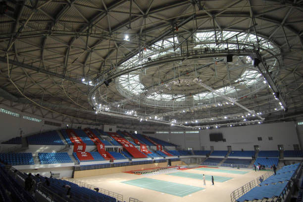 安赛龙独家专访：揭秘奥运冠军的成长之路