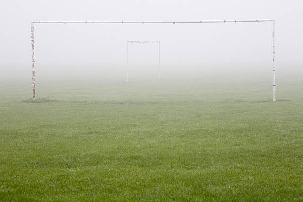 C罗进球后，葡萄牙酒吧、广场瞬间变成欢乐海洋