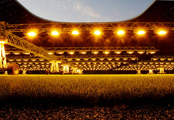 点球决胜时刻：非洲杯冠军揭晓！