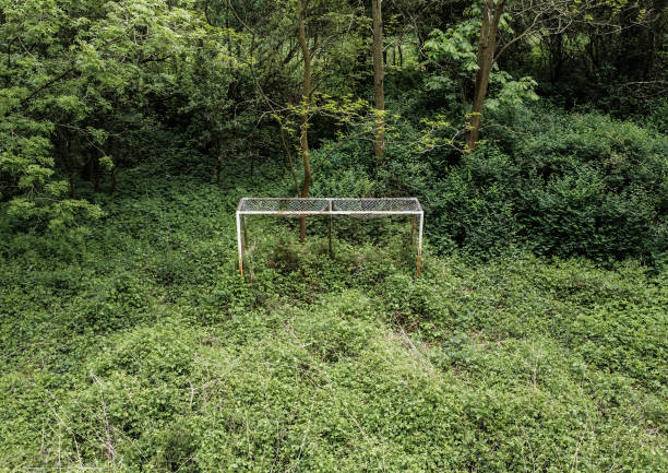 C罗头球高度震撼足坛！盘点史上最强头球高手