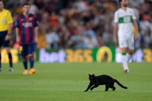 高效看球攻略：用球探比分电脑版定制专属赛事提醒