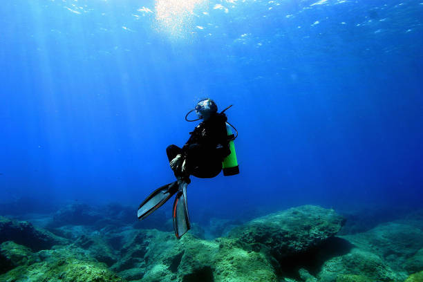刘德华分享对郭晶晶的敬佩：体育精神与人生智慧