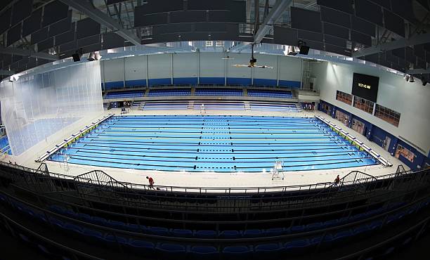 田径史上的传奇：盘点历届跳远世界纪录保持者