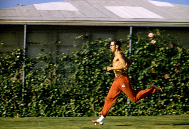 同名不同命：叶一茜与杨明娜的人生轨迹对比