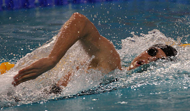 全红婵国家队动态：她是否已经加入？