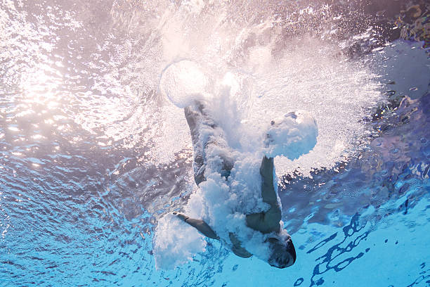 全红婵未来展望：新科奥运冠军的职业规划与发展方向