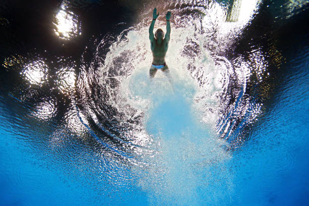 惊艳全场！全红婵2024年跳水比赛精彩集锦