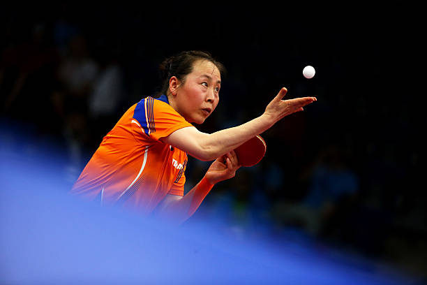 2024上半年男乒排名变化：谁进步最快？谁意外下滑？