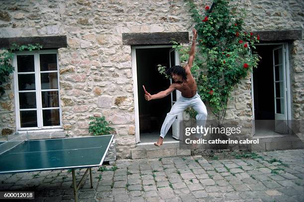 德国队历届乒乓球团体赛战绩盘点：辉煌与挑战并存