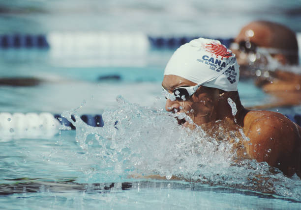 游泳等级标准更新：哪些级别发生了变化？