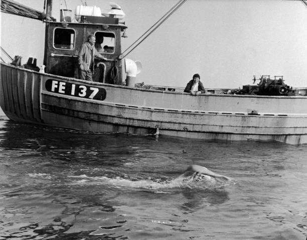 游泳比赛闭幕致辞的五大要点