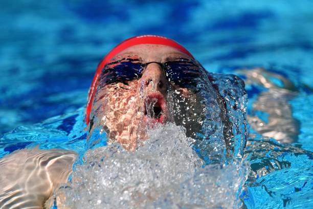 从初学者到职业选手：游泳运动员的进阶指南