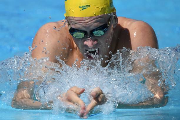 蝶泳的节奏与协调：如何流畅完成每一个动作