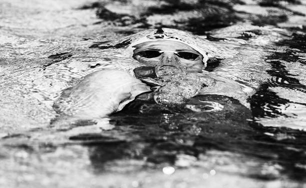 少年游泳运动员每日水分补充的重要性与建议量