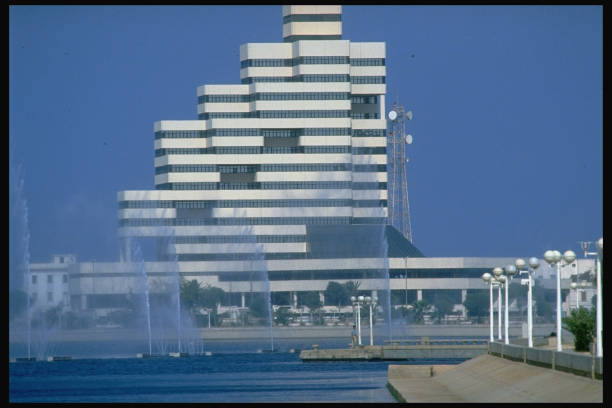 游泳冠军赛100自冠军：技术与速度的完美结合