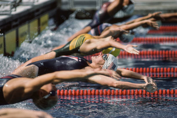 如何选择符合游泳教练员报考条件的专业？