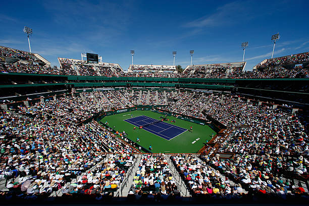 网球 love：在球场上谱写浪漫恋曲