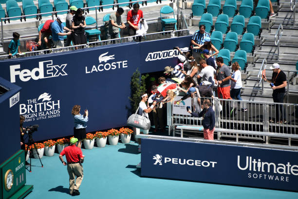 辛纳网球拍：专业选手的终极选择