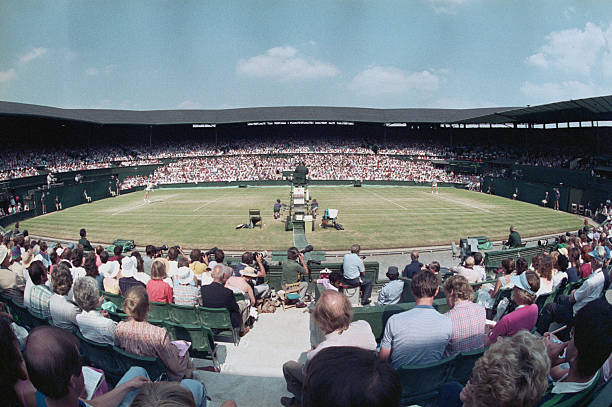网球免费直播在线直播观看视频中的教练与团队精神探讨