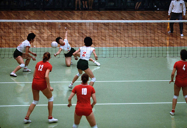 惠若琪复出引发热议，郎平表示理解并给予鼓励