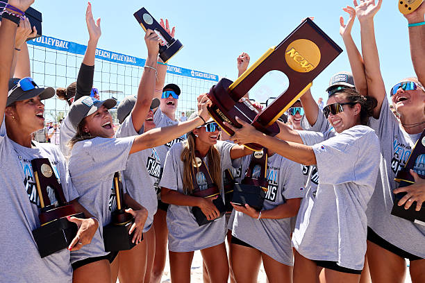 排球场地规则分类指南：不同比赛场地的差异