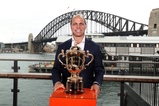 世界杯球星卡价格官网：收藏家必备参考工具